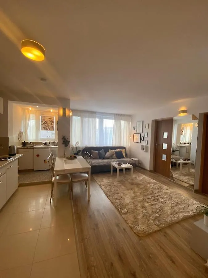 Vicky - New Apartment Centrum Srodmiescie وارسو بولندا